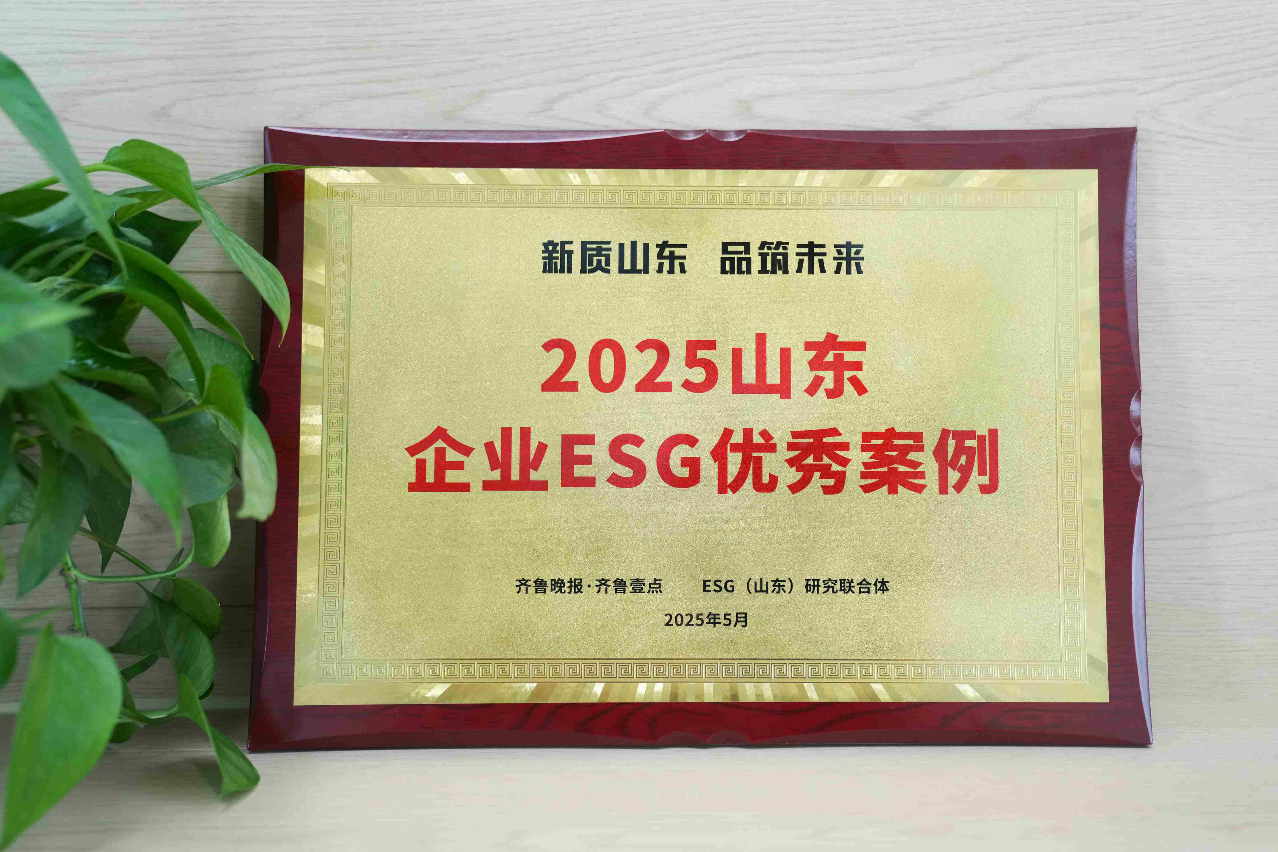 BG大游集团入选2025山东企业ESG优良案例