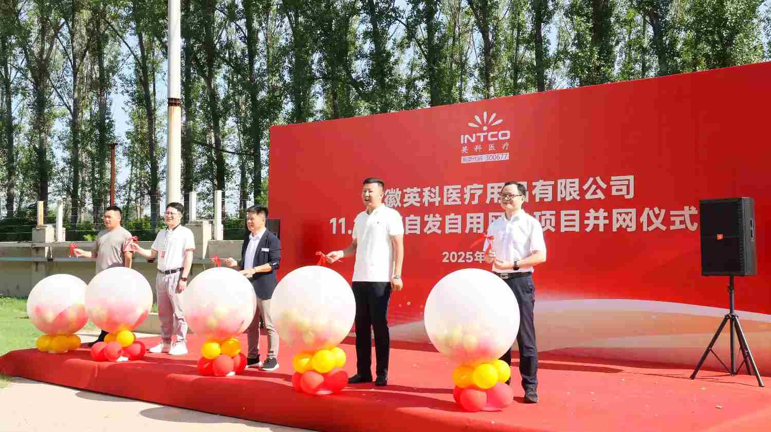 安徽BG大游集团11.2MW自觉自用风电项目成功并网